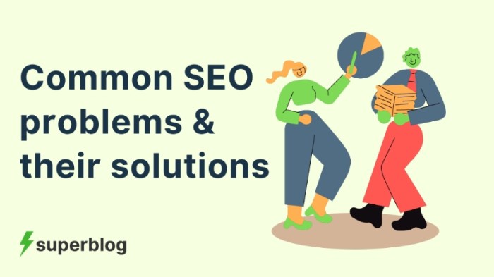 Terramedia kinsta Terramedia kinsta