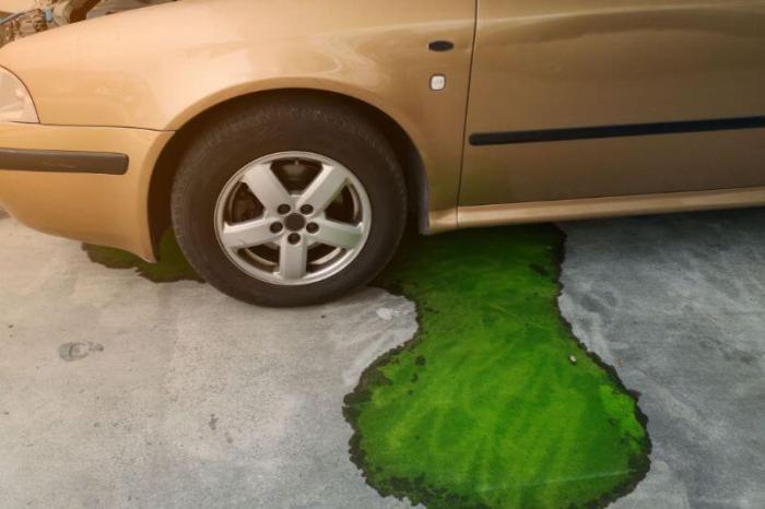 Bmw coolant x3 0si cyl 0l leak x5 reservoir dipstick