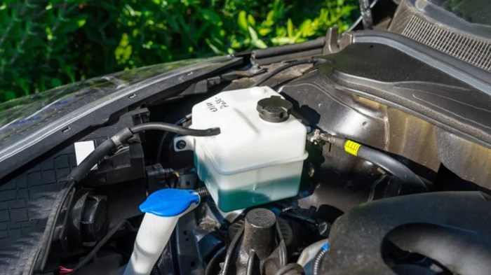 Coolant leak radiator leaks fix antifreeze car causes can out common there may
